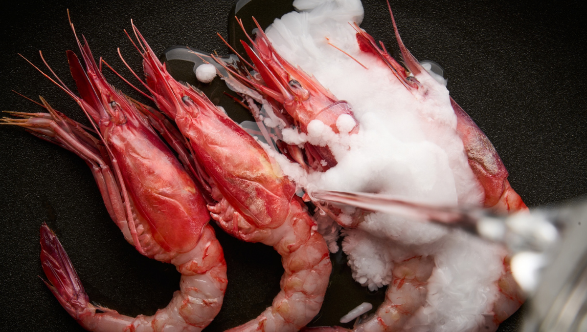 La sal que cocina ante el comensal
