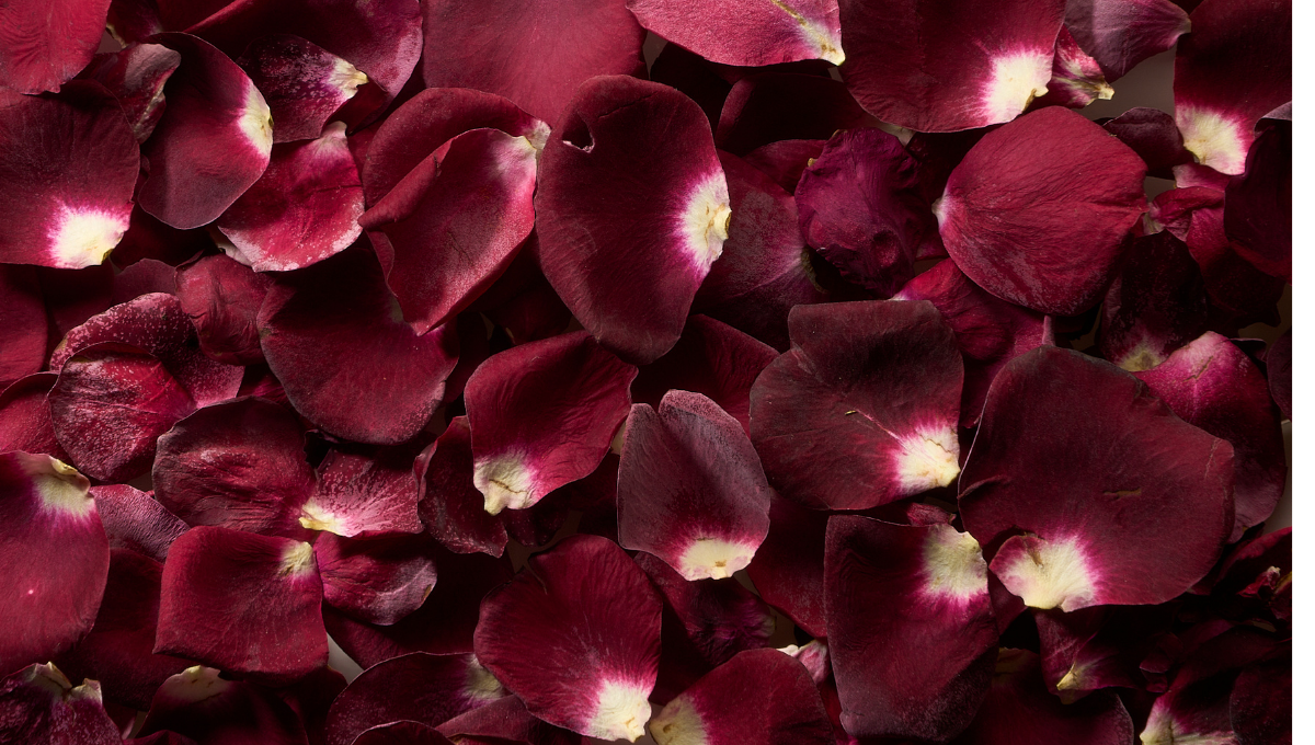 Pétales de rose rouge lyophilisés : élégance et arôme naturel