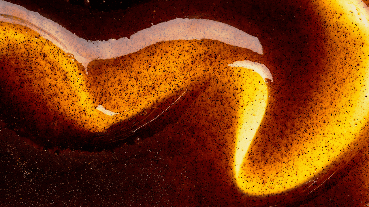 Vainilla Bourbon: esencia gourmet