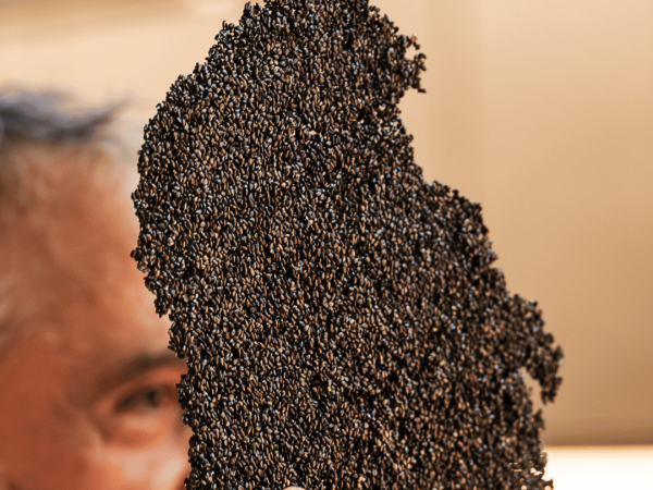 crujiente-sesamo-maltosec