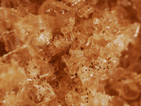 gelatina_rayable_trufa_sosa