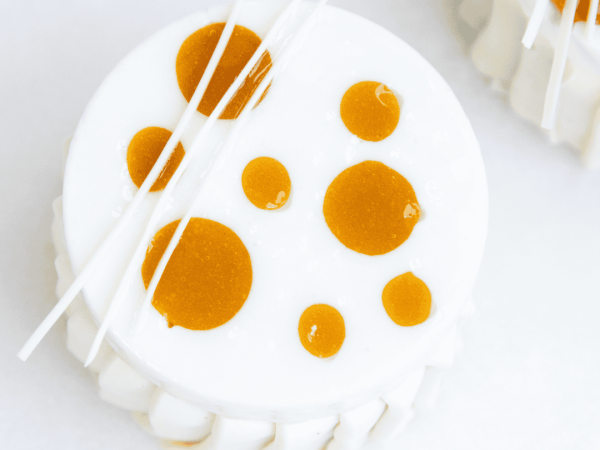 mango-coco-entremet