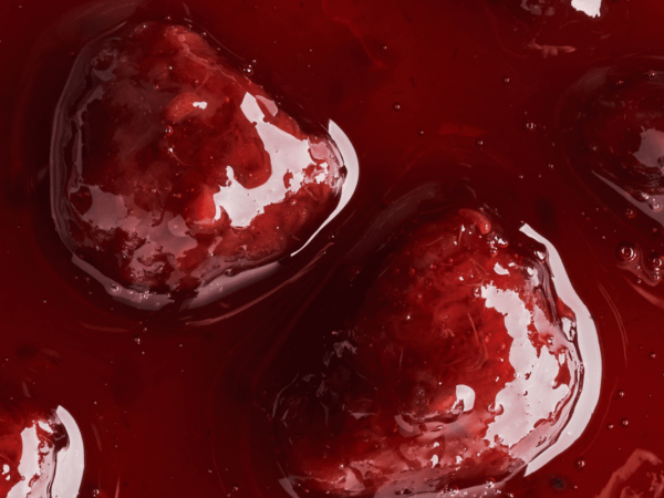 reimaginando-gastronomia-sosa-1