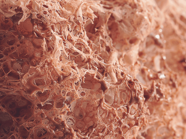 texturizantes-gastronomia